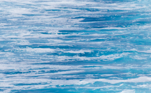 7金麟1.jpg 7金麟1.jpg