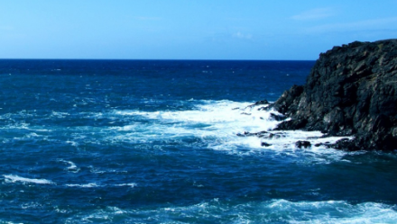 7金麟2.jpg 7金麟2.jpg