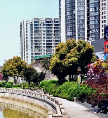 7金麟1.jpg 7金麟1.jpg