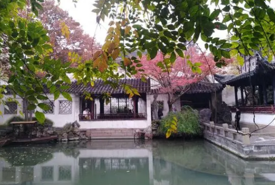 7金麟1.jpg 7金麟1.jpg